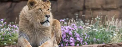 Business 24 image HOLIDAY INN EXPRESS DROITWICH SPA, AN IHG HOTEL Travel & Tourism in Droitwich Wo