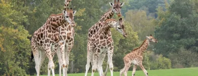 Business 33 image HOLIDAY INN EXPRESS DROITWICH SPA, AN IHG HOTEL Travel & Tourism in Droitwich Wo