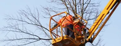 Business 2 image J R B TREE WORK Tree Services in Sarratt He