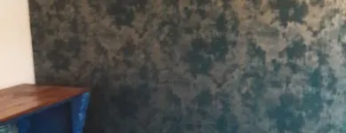 Business 3 image J. TAYLOR PAINTING & DECORATING Wallpapers & Wallcoverings in Plymouth De