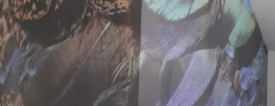 Business 8 image J. TAYLOR PAINTING & DECORATING Wallpapers & Wallcoverings in Plymouth De