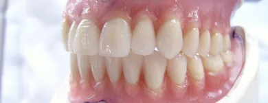 Business 2 image KINGFISHERSERVICESUK.CO.UK Building Maintenance & Repairs in Wickford Es