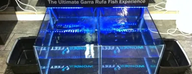 Business 11 image NATURAL BEAUTY DAY SPA Hairdressers in Stoke-On-Trent St