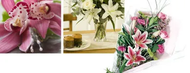 Business 8 image OCCASIONS FLORIST Florists in Sherborne Do