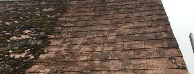 Business 17 image ON THE ISLAND CLEANING & MAINTENANCE Window Cleaners in Ryde Is