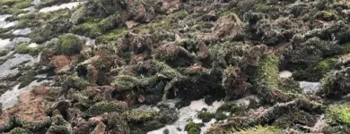 Business 25 image ON THE ISLAND CLEANING & MAINTENANCE Window Cleaners in Ryde Is