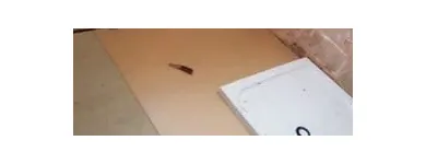 Business 50 image ON THE ISLAND CLEANING & MAINTENANCE Window Cleaners in Ryde Is