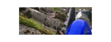 Business 65 image ON THE ISLAND CLEANING & MAINTENANCE Window Cleaners in Ryde Is