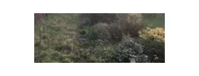 Business 74 image ON THE ISLAND CLEANING & MAINTENANCE Window Cleaners in Ryde Is