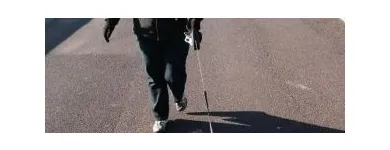 Business 2 image PET SET GO Veterinary Services in Rayleigh Es