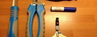 Business 5 image PET SET GO Veterinary Services in Rayleigh Es