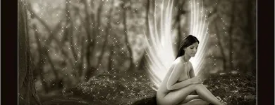 Business 2 image PORTRAITS BY HART General Photographers in Stourbridge We