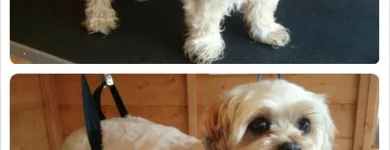 Business 5 image RGB LTD Recruitment Consultants in Exeter De