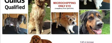 Business 7 image RGB LTD Recruitment Consultants in Exeter De