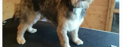 Business 9 image RGB LTD Recruitment Consultants in Exeter De