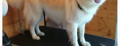 Business 2 image RGB LTD Recruitment Consultants in Exeter De