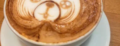 Business 1 image ROCK SALT CAFE Cafes & Coffee Shops in Leith Mi