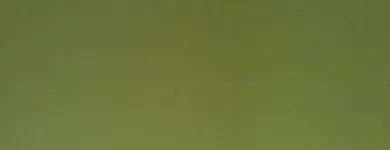 Business 1 image SCOTIA HEIGHTS Nursing Homes in Stoke-On-Trent St