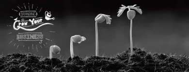 Business 3 image SEO COMPANY PORTSMOUTH - CREATIVE ELEMENT Web Developers in PORTSMOUTH Ha