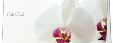 Business 13 image STEP BY STEP Coaching & Mentoring in FAREHAM Ha