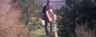 Business 4 image SUPERDRUG STORES PLC Pharmacies in Northampton No