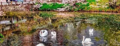 Business 7 image VAN DER VACATIONS Youth Organisations, Centres & Clubs in Luton Be