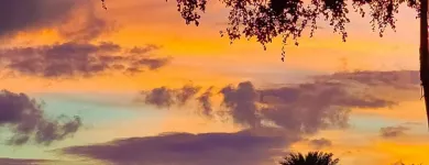 Business 21 image VAN DER VACATIONS Youth Organisations, Centres & Clubs in Luton Be