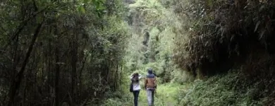 Business 54 image VAN DER VACATIONS Youth Organisations, Centres & Clubs in Luton Be