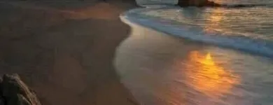 Business 55 image VAN DER VACATIONS Youth Organisations, Centres & Clubs in Luton Be