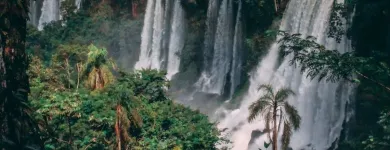 Business 92 image VAN DER VACATIONS Youth Organisations, Centres & Clubs in Luton Be