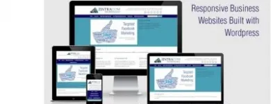 Business 3 image ZINTRACOM LIMITED Web Developers in Swindon Wi