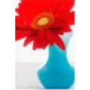 AQUARIUS CLEANING SERVICES (NW) LTD Construction & Contractors in Hazel Grove Gr