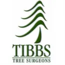 TIBBS TREE SURGEONS Tree Services in Radstock So
