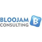 BLOOJAM CONSULTING LTD