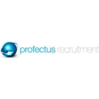 PROFECTUS RECRUITMENT LTD