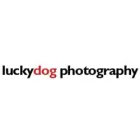 LUCKY DOG PHOTOGRAPHY