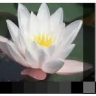 BEAUTY & BEYOND SKIN CARE CENTER