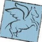 PEGASUS TRAVEL SERVICES