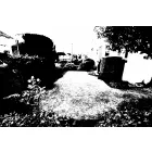 ADORABLE GARDENS & HOMES