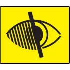 THE PARTIALLY SIGHTED SOCIETY