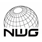 NEW WORLD GAMING
