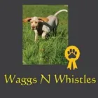 WAGGS N WHISTLES