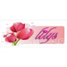 LILY'S