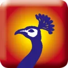 CUSTOM MARKETING RESOURCES