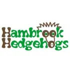 HAMBROOK HEDGEHOGS PRESCHOOL AND AFTER SCHOOL CLUB