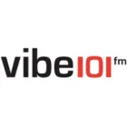 VIBE 101