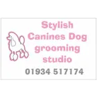 STYLISH CANINES DOG GROOMING STUDIO